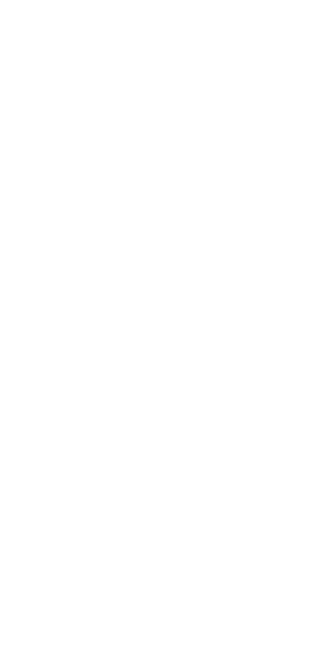 ROVE 245 top-view floorplan drawing
